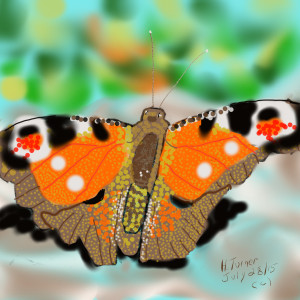 Peacock Butterfly.  July 28, 2015