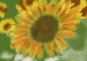 sunflowers-_july_252016